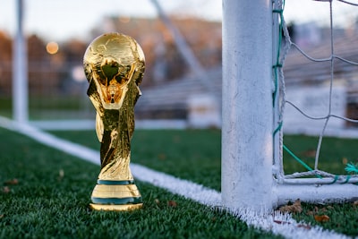 ما هي الأندية التي لعب لها إبراهيموفيتش؟